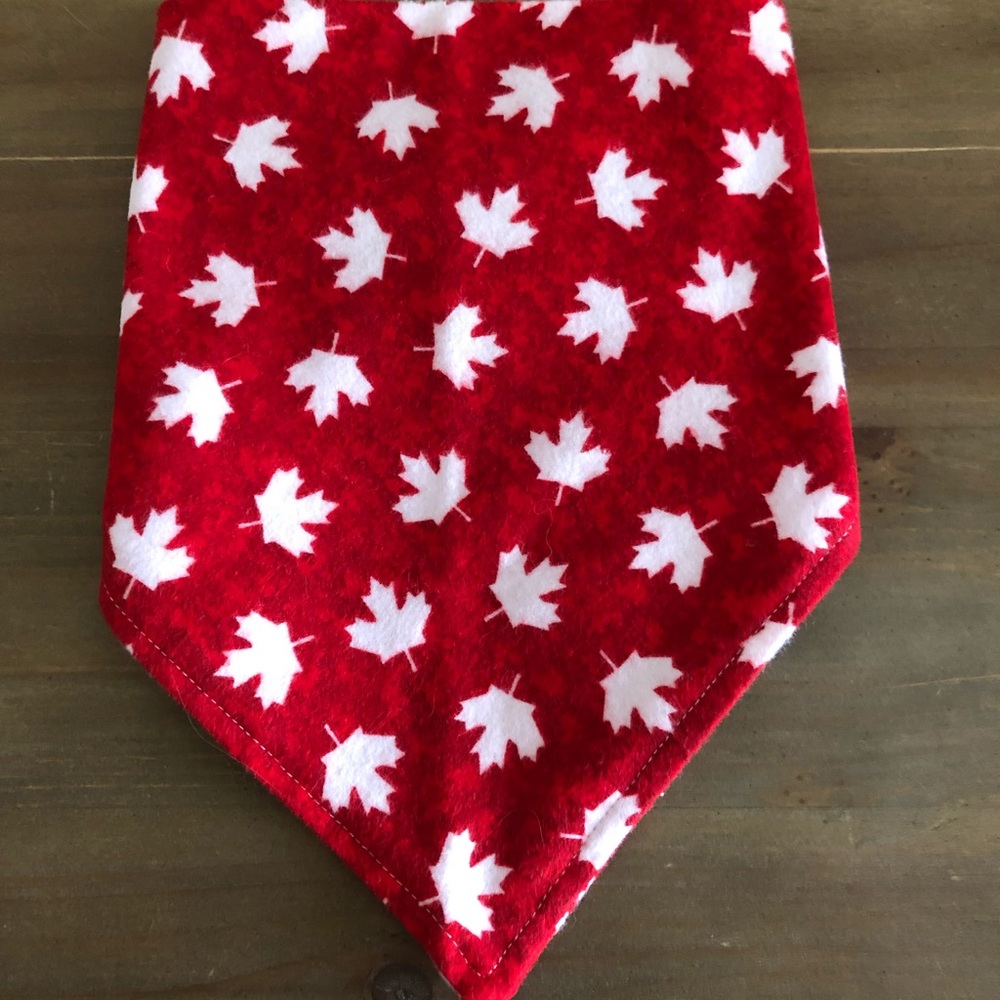 🐕‍🦺 HP 🐕‍🦺 NWOT dog bandana